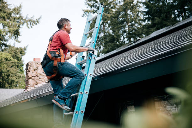 Best Chimney Flashing Repair  in San Pasqual, CA